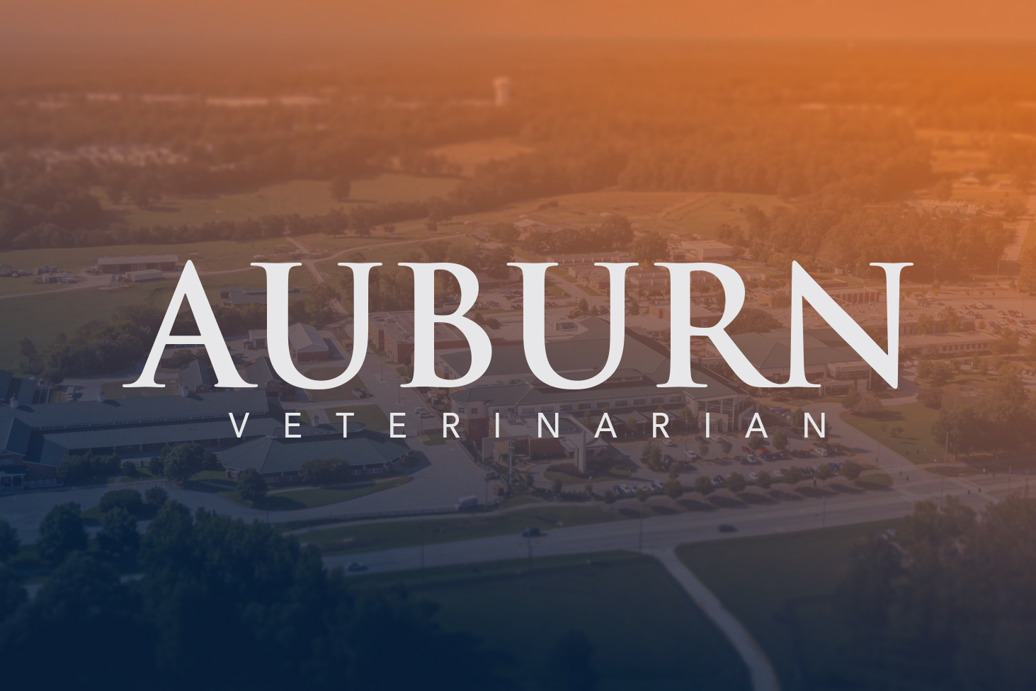 Auburn Veterinarian Logo
