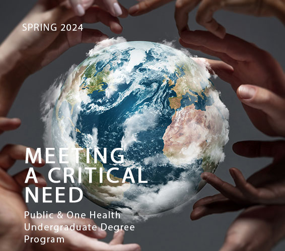 Cover for Spring 2024 Edition