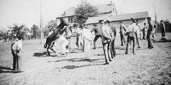 Outdoor mule clinic photo