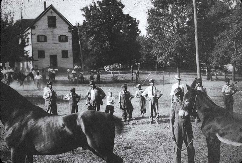 Students with horse and donkey