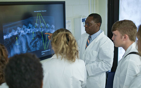 Summer VIP participants looking at radiograph