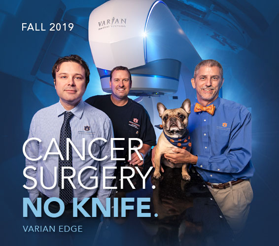 Cancer Surgery. No Knife.<br>Varian Edge