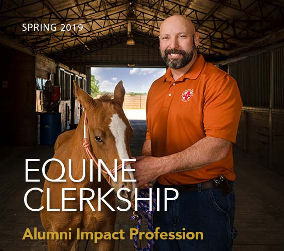 Equine Clerkship<br>Alumni Impact Profession