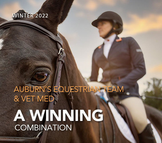 Auburn's Equestrian Team & Vet Med<br>A Winning Combination